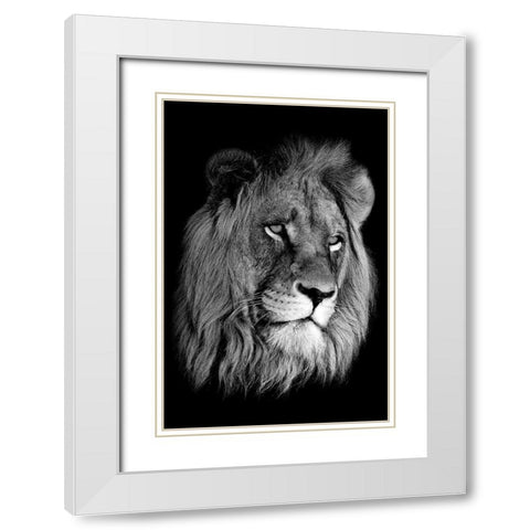 Lion King White Modern Wood Framed Art Print with Double Matting by Anon