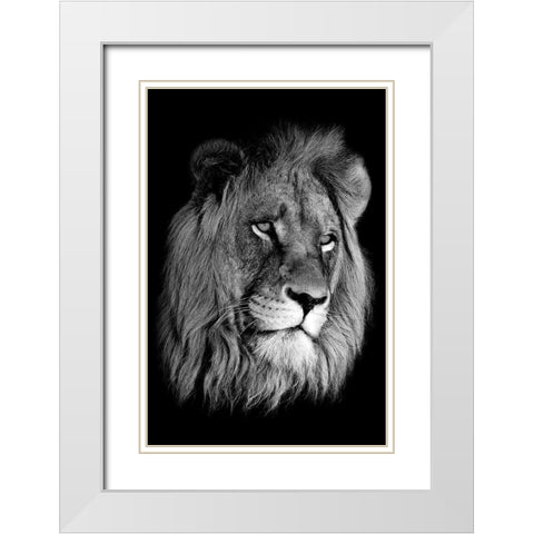 Lion King White Modern Wood Framed Art Print with Double Matting by Anon