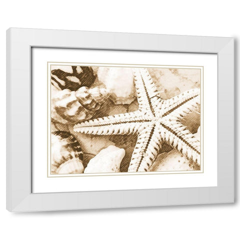 Starfish Impression White Modern Wood Framed Art Print with Double Matting by Anonymous