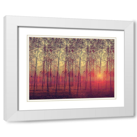 Poplar Trees in the Setting Sun White Modern Wood Framed Art Print with Double Matting by Anonymous