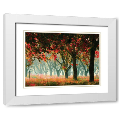 Fall Forest White Modern Wood Framed Art Print with Double Matting by Zsolnai