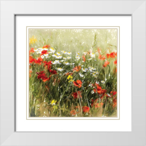 Poppy Field White Modern Wood Framed Art Print with Double Matting by Cottingham, J.