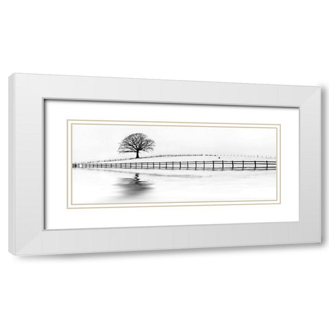 Winter Oak in a Field White Modern Wood Framed Art Print with Double Matting by Barbone, M.