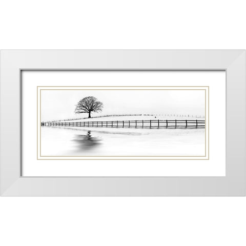 Winter Oak in a Field White Modern Wood Framed Art Print with Double Matting by Barbone, M.