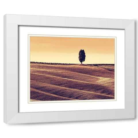Harvest Season in Tuscany White Modern Wood Framed Art Print with Double Matting by Bednarek, M.
