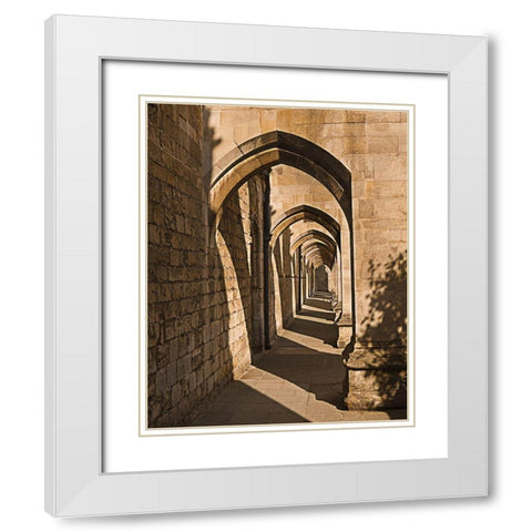 Cloister Arches White Modern Wood Framed Art Print with Double Matting by Anonymous