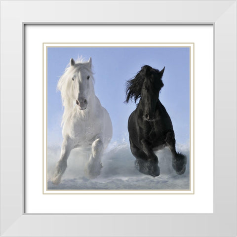 Salt And Pepper (detail) White Modern Wood Framed Art Print with Double Matting by Makarova