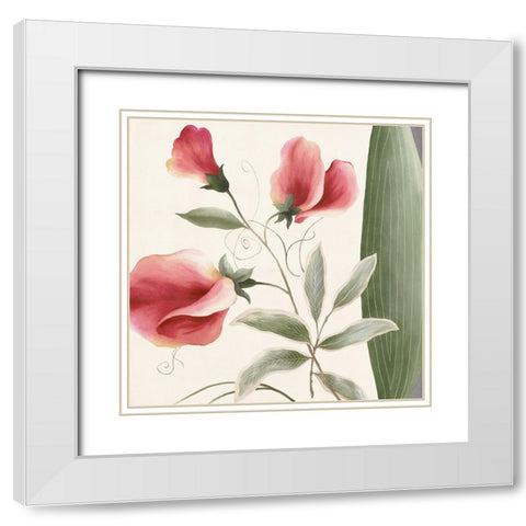 Passion Flower White Modern Wood Framed Art Print with Double Matting by Unknown