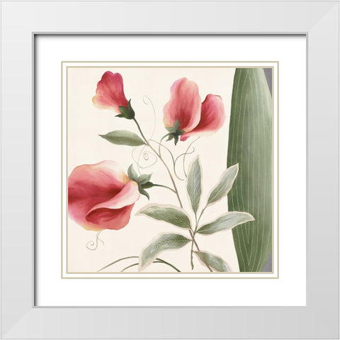 Passion Flower White Modern Wood Framed Art Print with Double Matting by Unknown