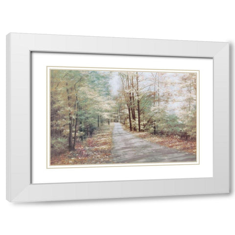 Garden Path White Modern Wood Framed Art Print with Double Matting by Unknown
