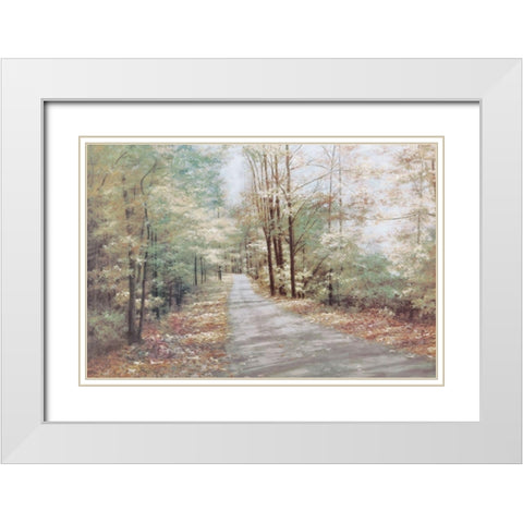 Garden Path White Modern Wood Framed Art Print with Double Matting by Unknown