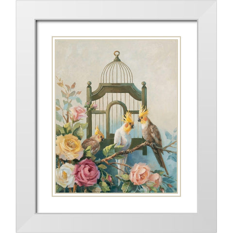 Three Cockatiels White Modern Wood Framed Art Print with Double Matting by Unknown