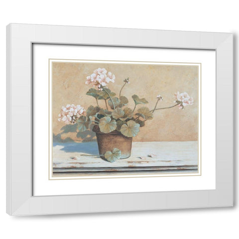 Potted Geranium II White Modern Wood Framed Art Print with Double Matting by Unknown