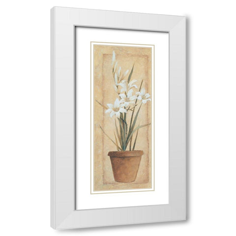 Potted Lily White Modern Wood Framed Art Print with Double Matting by Unknown