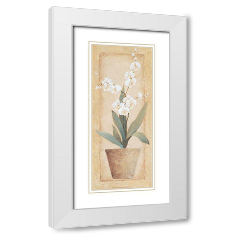 Potted Amarylis White Modern Wood Framed Art Print with Double Matting by Unknown