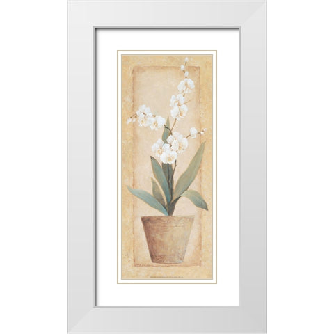 Potted Amarylis White Modern Wood Framed Art Print with Double Matting by Unknown