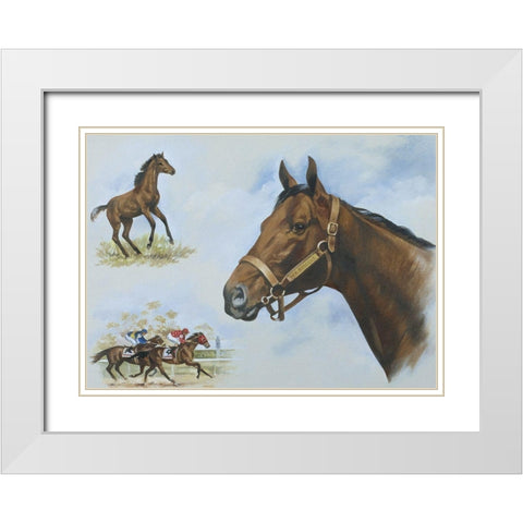Thoroughbred I White Modern Wood Framed Art Print with Double Matting by Unknown