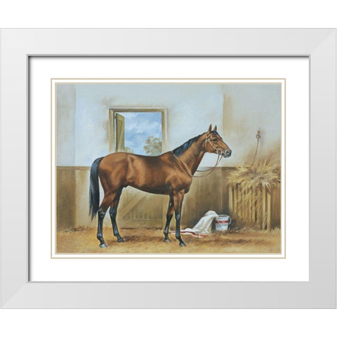 Thoroughbred II White Modern Wood Framed Art Print with Double Matting by Unknown