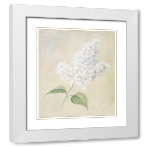 White Azalea White Modern Wood Framed Art Print with Double Matting by Unknown
