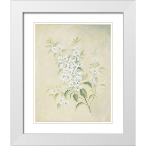 White Titans White Modern Wood Framed Art Print with Double Matting by Unknown