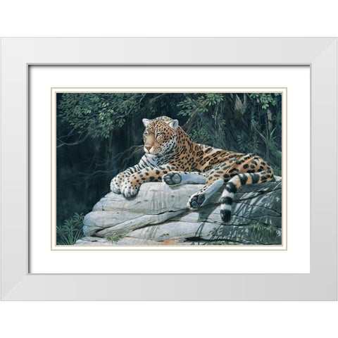 Jaguar White Modern Wood Framed Art Print with Double Matting by Unknown