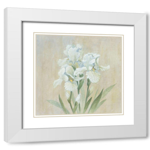 White Gladiola White Modern Wood Framed Art Print with Double Matting by Unknown