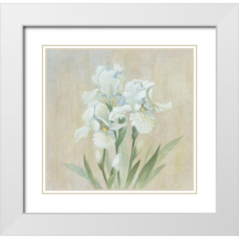 White Gladiola White Modern Wood Framed Art Print with Double Matting by Unknown