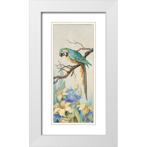 Parrot Panel I White Modern Wood Framed Art Print with Double Matting by Unknown