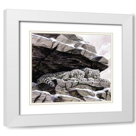 Snow Leopards White Modern Wood Framed Art Print with Double Matting by Unknown