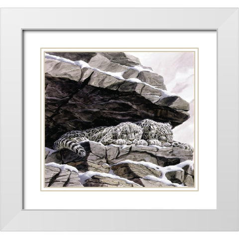 Snow Leopards White Modern Wood Framed Art Print with Double Matting by Unknown