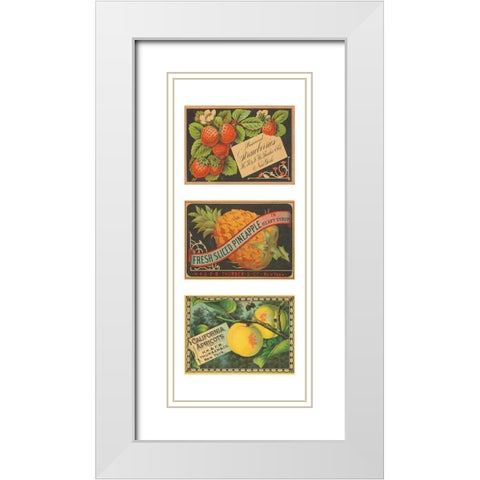 Strawbwerries-Pineapple-Apricots White Modern Wood Framed Art Print with Double Matting by Unknown