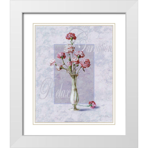 Carnation White Modern Wood Framed Art Print with Double Matting by Unknown