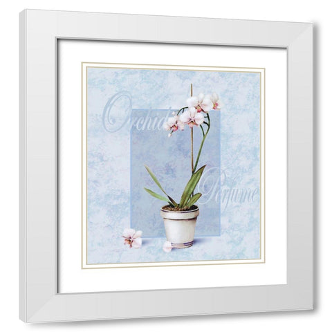 Orchid White Modern Wood Framed Art Print with Double Matting by Unknown