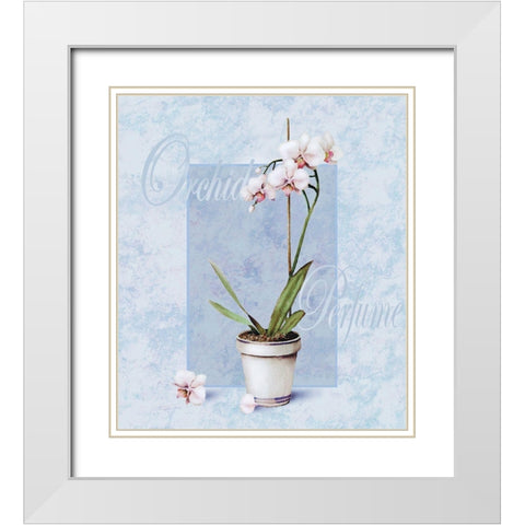 Orchid White Modern Wood Framed Art Print with Double Matting by Unknown