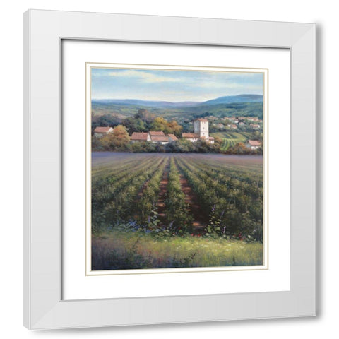 Vineyards II White Modern Wood Framed Art Print with Double Matting by Unknown