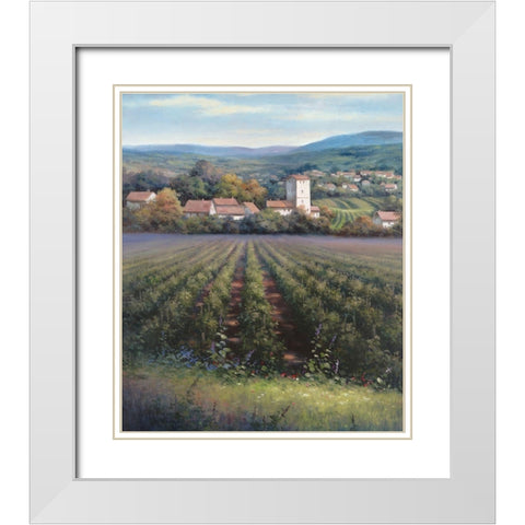 Vineyards II White Modern Wood Framed Art Print with Double Matting by Unknown