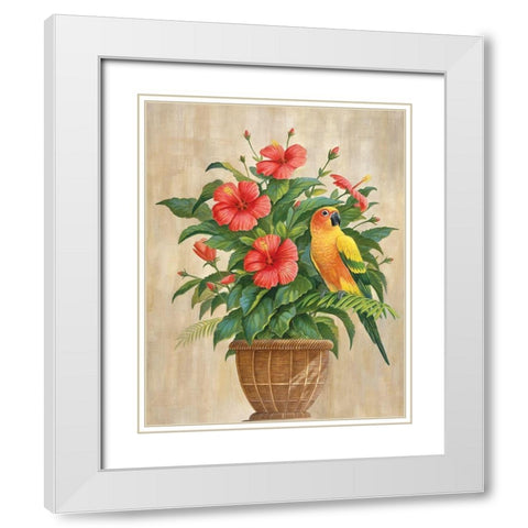 Parrot and Hibiscus White Modern Wood Framed Art Print with Double Matting by Unknown