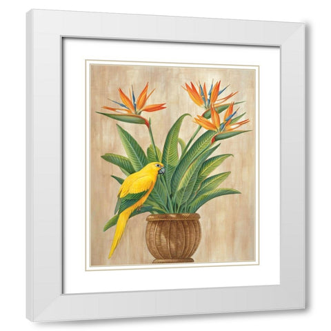 Parrot and Passion White Modern Wood Framed Art Print with Double Matting by Unknown