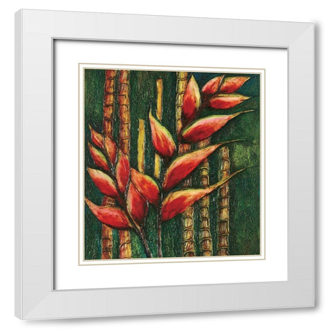 Passion Fruit I White Modern Wood Framed Art Print with Double Matting by Unknown