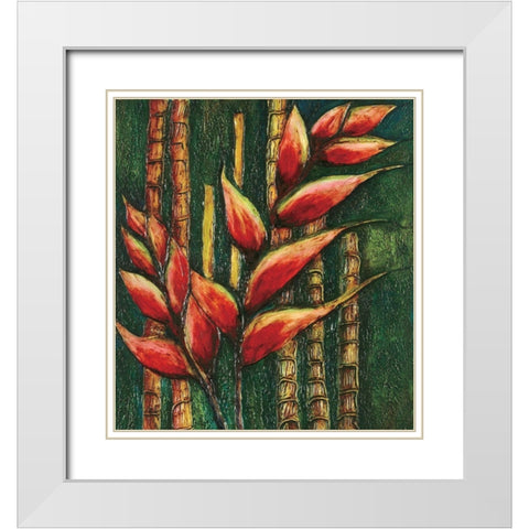 Passion Fruit I White Modern Wood Framed Art Print with Double Matting by Unknown