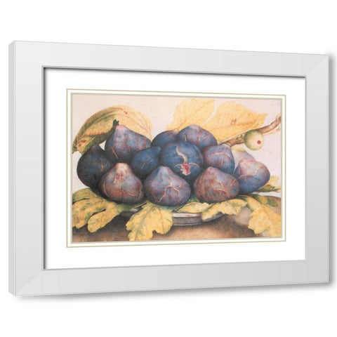 Figs White Modern Wood Framed Art Print with Double Matting by Unknown