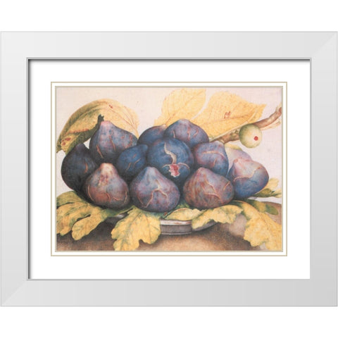 Figs White Modern Wood Framed Art Print with Double Matting by Unknown