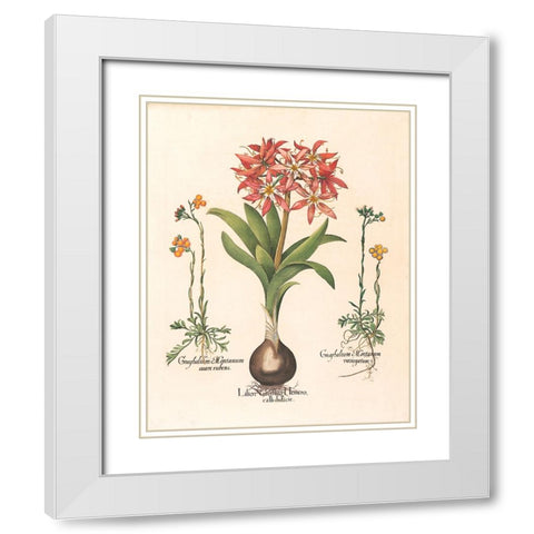 Lily Botanical White Modern Wood Framed Art Print with Double Matting by Unknown
