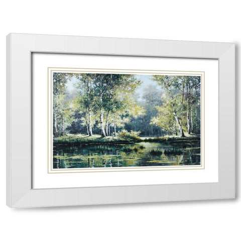 Great Swamp White Modern Wood Framed Art Print with Double Matting by Unknown