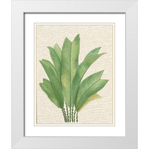 Palm Fronds I White Modern Wood Framed Art Print with Double Matting by Unknown