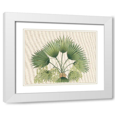 Palm Fronds II White Modern Wood Framed Art Print with Double Matting by Unknown