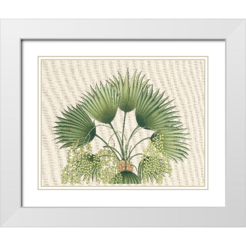 Palm Fronds II White Modern Wood Framed Art Print with Double Matting by Unknown