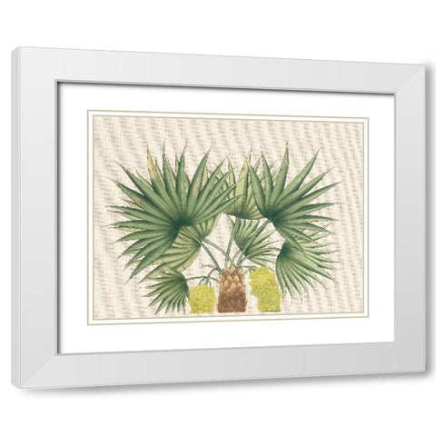 Palm Fronds III White Modern Wood Framed Art Print with Double Matting by Unknown