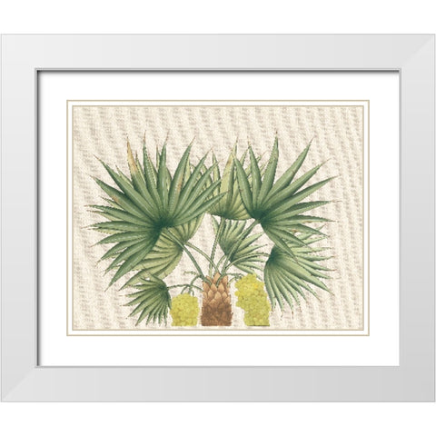 Palm Fronds III White Modern Wood Framed Art Print with Double Matting by Unknown