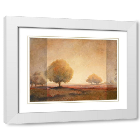 Golden Trees II White Modern Wood Framed Art Print with Double Matting by Unknown